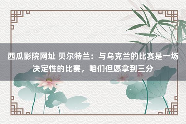 西瓜影院网址 贝尔特兰：与乌克兰的比赛是一场决定性的比赛，咱们但愿拿到三分