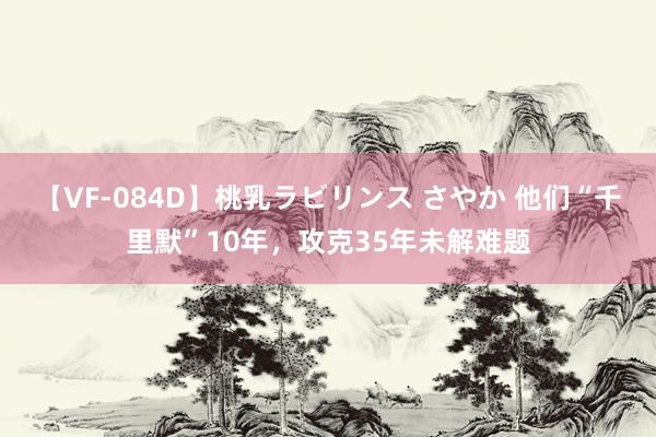 【VF-084D】桃乳ラビリンス さやか 他们“千里默”10年，攻克35年未解难题