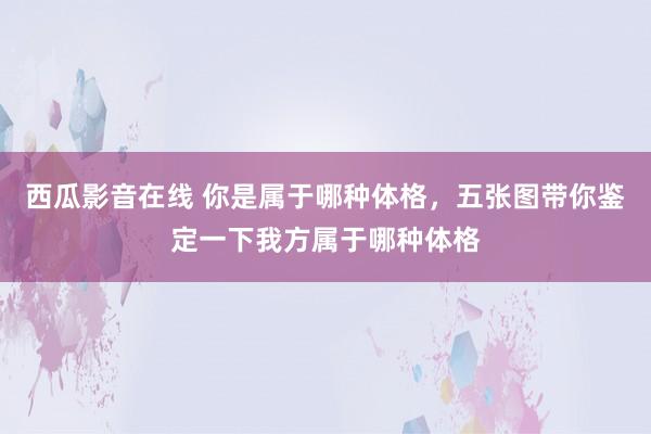 西瓜影音在线 你是属于哪种体格，五张图带你鉴定一下我方属于哪种体格