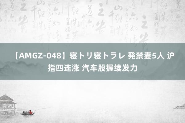 【AMGZ-048】寝トリ寝トラレ 発禁妻5人 沪指四连涨 汽车股握续发力