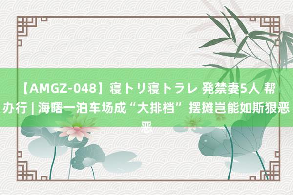 【AMGZ-048】寝トリ寝トラレ 発禁妻5人 帮办行 | 海曙一泊车场成“大排档” 摆摊岂能如斯狠恶