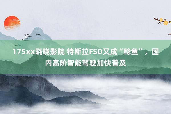 175xx晓晓影院 特斯拉FSD又成“鲶鱼”，国内高阶智能驾驶加快普及