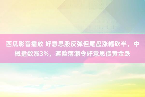 西瓜影音播放 好意思股反弹但尾盘涨幅砍半，中概指数涨3%，避险落潮令好意思债黄金跌