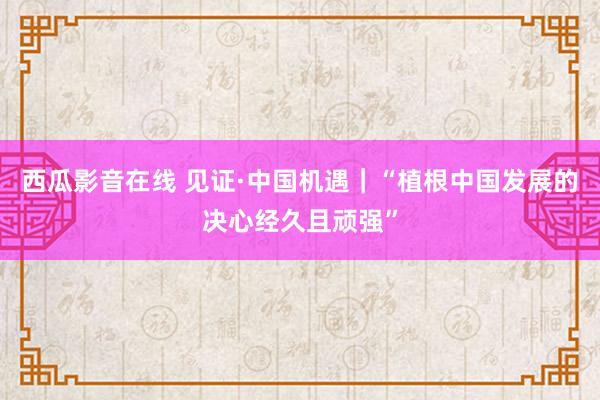 西瓜影音在线 见证·中国机遇｜“植根中国发展的决心经久且顽强”