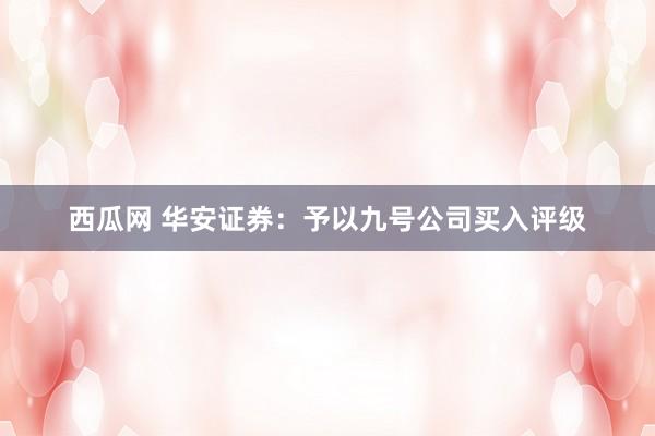 西瓜网 华安证券：予以九号公司买入评级