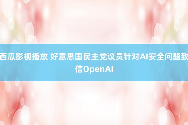 西瓜影视播放 好意思国民主党议员针对AI安全问题致信OpenAI