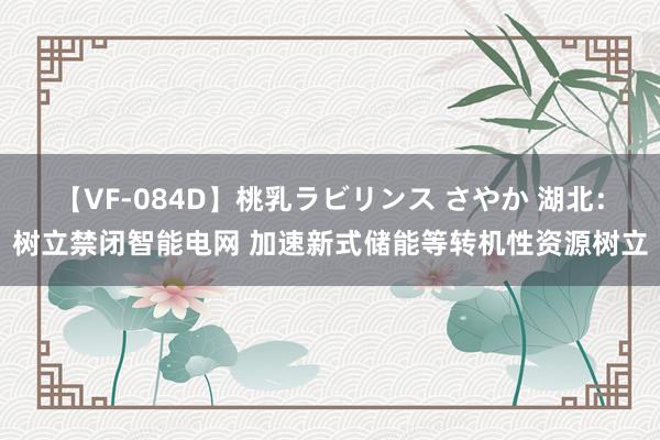 【VF-084D】桃乳ラビリンス さやか 湖北：树立禁闭智能电网 加速新式储能等转机性资源树立