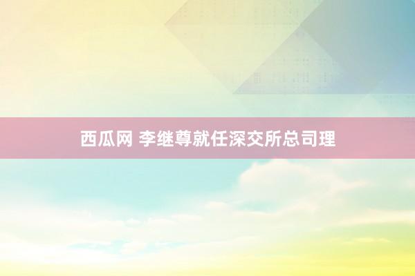 西瓜网 李继尊就任深交所总司理