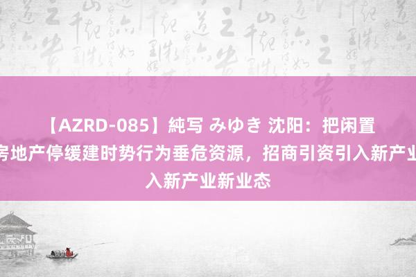 【AZRD-085】純写 みゆき 沈阳：把闲置地盘和房地产停缓建时势行为垂危资源，招商引资引入新产业新业态