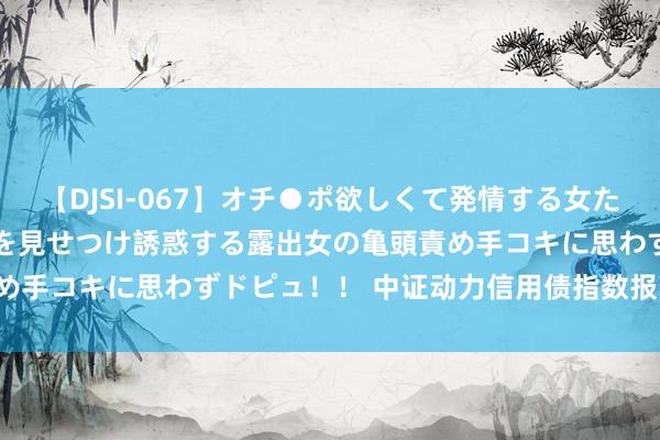 【DJSI-067】オチ●ポ欲しくて発情する女たち ところ構わずオマ●コを見せつけ誘惑する露出女の亀頭責め手コキに思わずドピュ！！ 中证动力信用债指数报138.20点