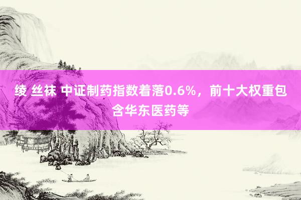 绫 丝袜 中证制药指数着落0.6%，前十大权重包含华东医药等