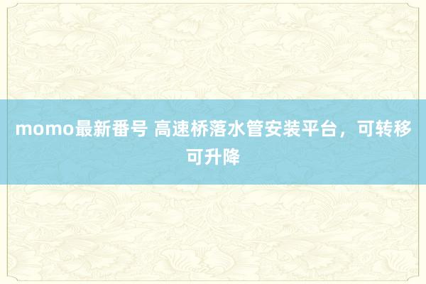 momo最新番号 高速桥落水管安装平台，可转移可升降