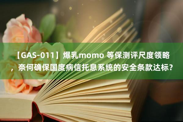 【GAS-011】爆乳momo 等保测评尺度领略，奈何确保国度病信托息系统的安全条款达标？