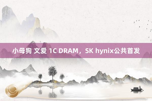 小母狗 文爱 1C DRAM，SK hynix公共首发