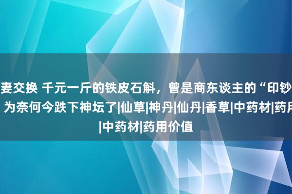 妻交换 千元一斤的铁皮石斛，曾是商东谈主的“印钞机”，为奈何今跌下神坛了|仙草|神丹|仙丹|香草|中药材|药用价值