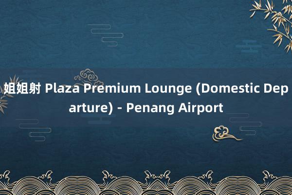 姐姐射 Plaza Premium Lounge (Domestic Departure) - Penang Airport